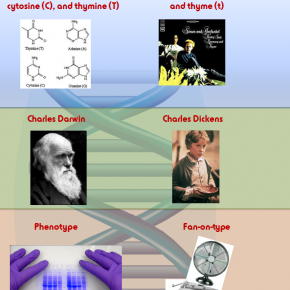 Top 9 DNA Facts You Don’t Want to Confuse