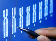 10 Reasons You Should Test Your DNA 10 Reasons You Should Test Your DNA