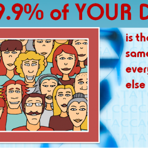 Applying DNA Tests Insights to Life Choices - Infographics